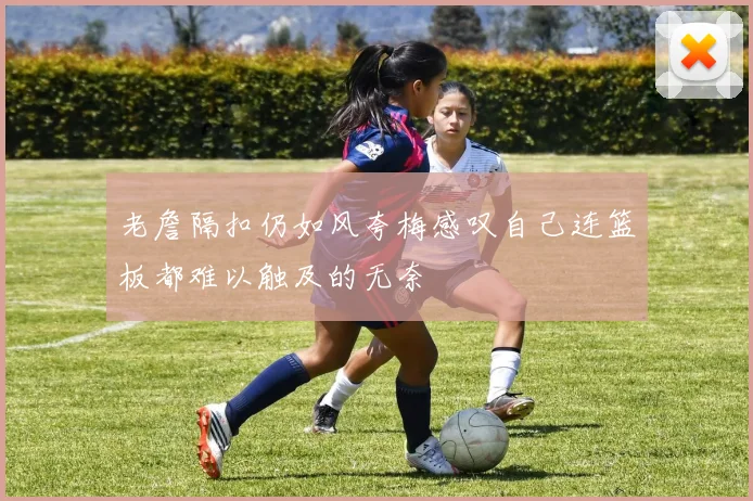 老詹隔扣仍如风夸梅感叹自己连篮板都难以触及的无奈